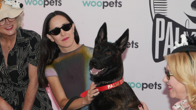 Illustration : "Yuri remporte Palm Dog 2026 pour son interprétation bouleversante dans « La Chienne » (« La Perra ») de Dominga Sotomayor"